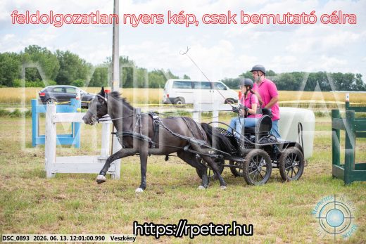Mintakép 20260613-1624