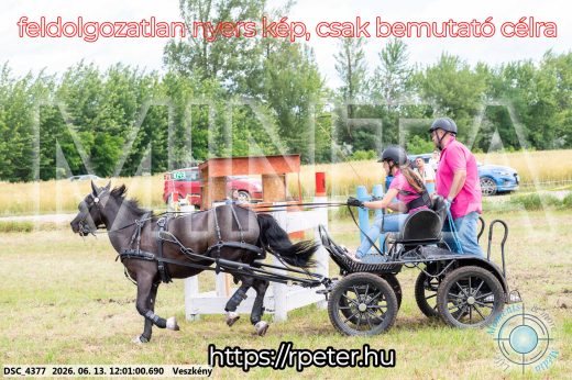 Mintakép 20260613-1626