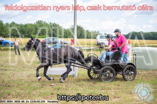 Mintakép 20260613-1627