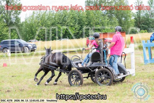 Mintakép 20260613-1628