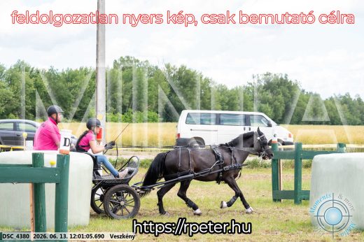Mintakép 20260613-1629