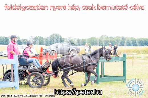Mintakép 20260613-1630