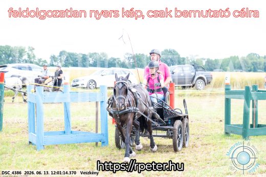 Mintakép 20260613-1634