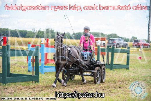 Mintakép 20260613-1635