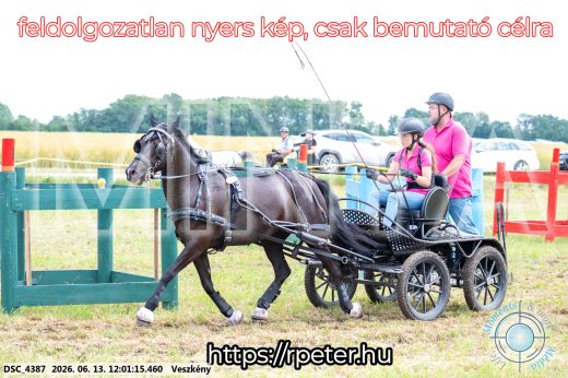 Mintakép 20260613-1636