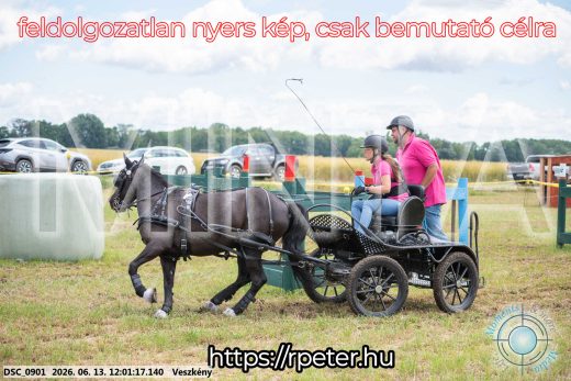Mintakép 20260613-1638