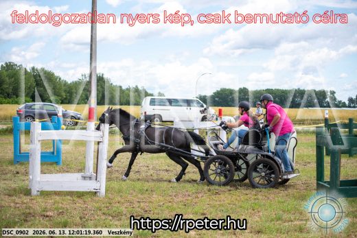 Mintakép 20260613-1639