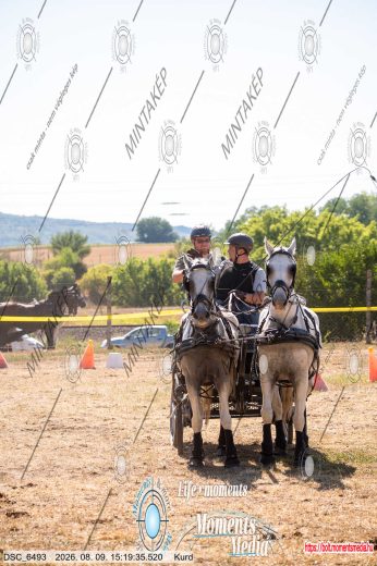 20260809-151935-DSC_6493.jpg