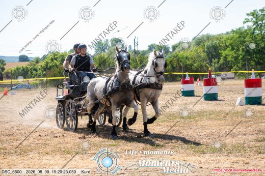 Mintakép 20260809-1411