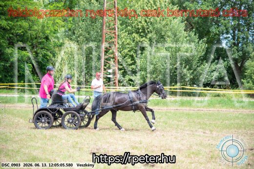 Mintakép 20260613-1642