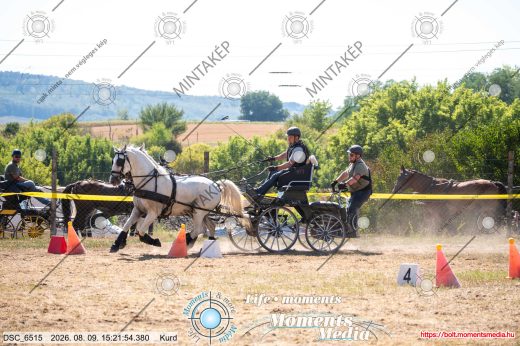 Mintakép 20260809-1419