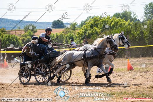 Mintakép 20260809-1420