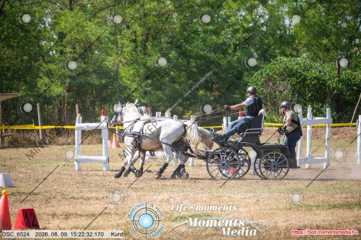 Mintakép 20260809-1424