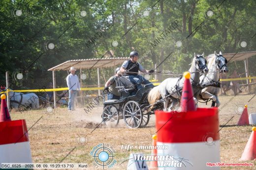 Mintakép 20260809-1425