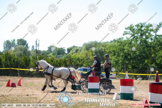 Mintakép 20260809-1436