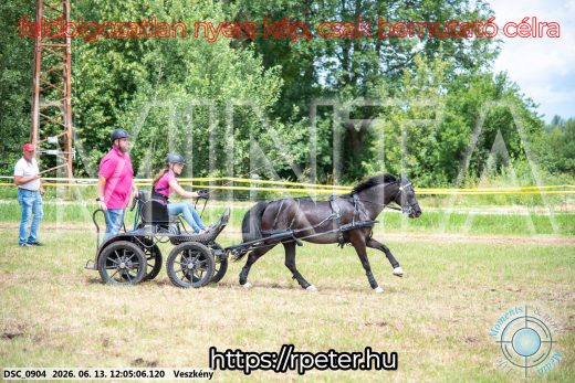 Mintakép 20260613-1644