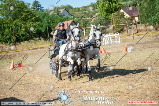 Mintakép 20260809-1443