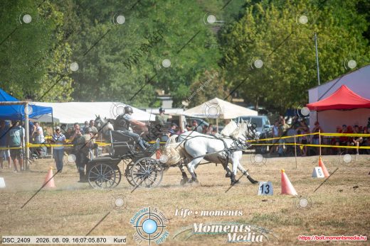 Mintakép 20260809-1448