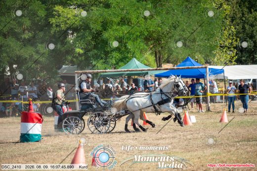 Mintakép 20260809-1449