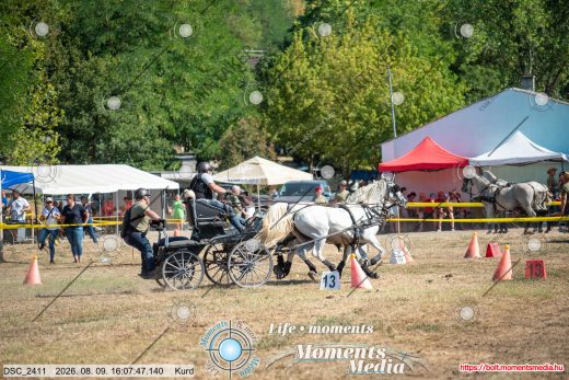 Mintakép 20260809-1450