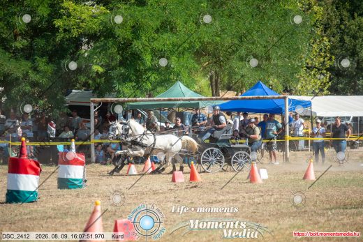 Mintakép 20260809-1451