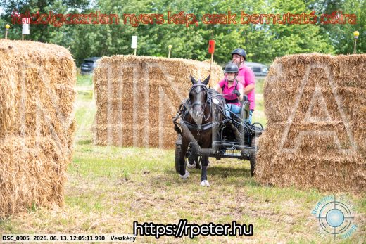 Mintakép 20260613-1646