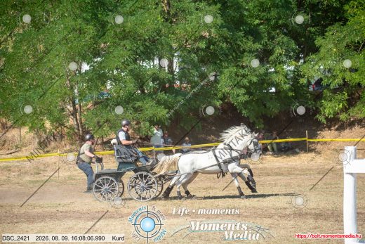 Mintakép 20260809-1459