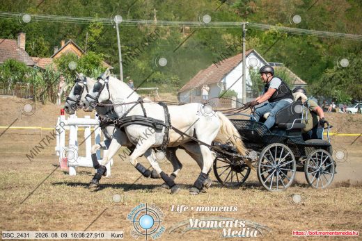 Mintakép 20260809-1469