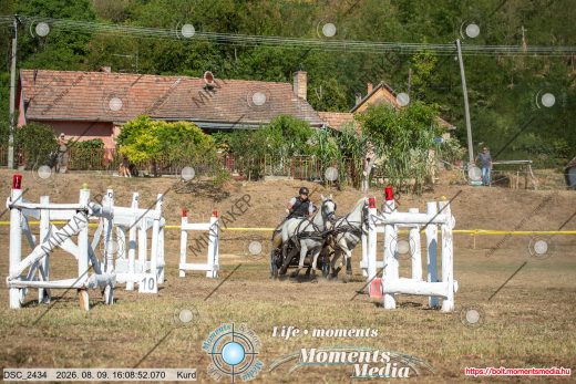 Mintakép 20260809-1472