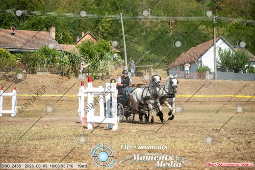 Mintakép 20260809-1473