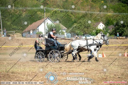 Mintakép 20260809-1474
