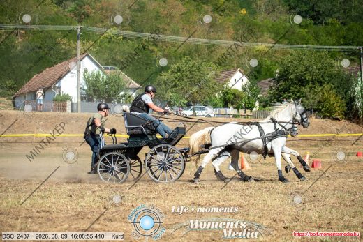 Mintakép 20260809-1475