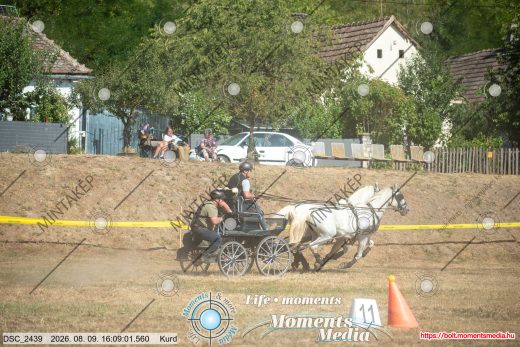 Mintakép 20260809-1477