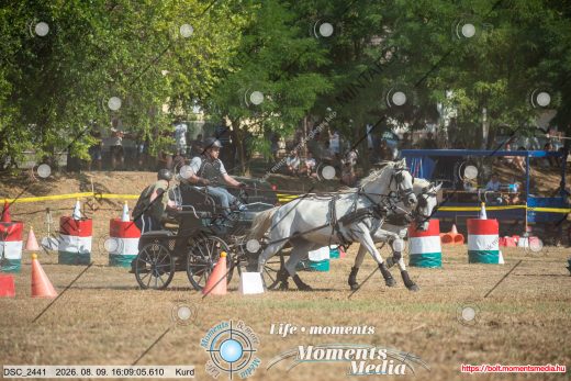 Mintakép 20260809-1478
