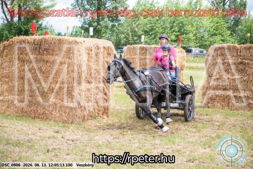 Mintakép 20260613-1648