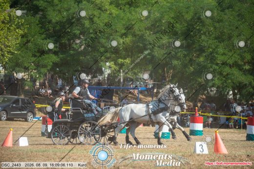 Mintakép 20260809-1479