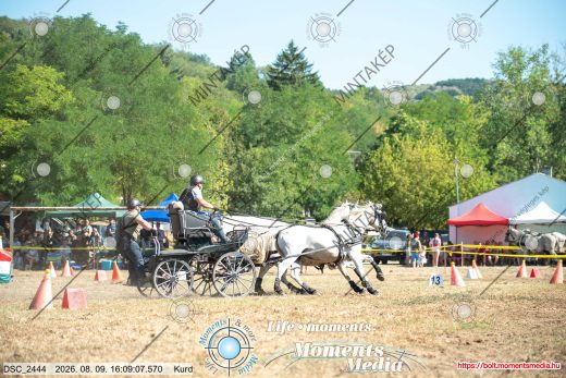 Mintakép 20260809-1480