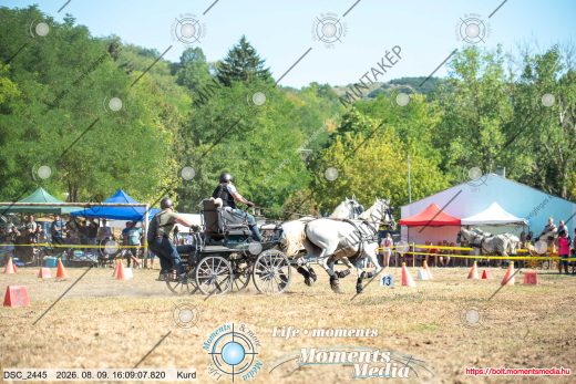 Mintakép 20260809-1481