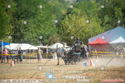 Mintakép 20260809-1482