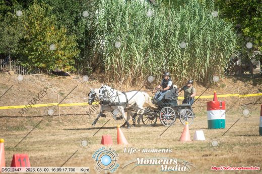 Mintakép 20260809-1483