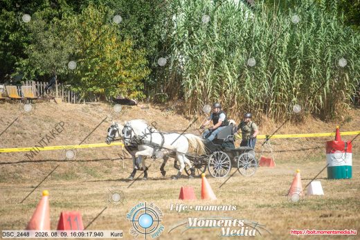 Mintakép 20260809-1484