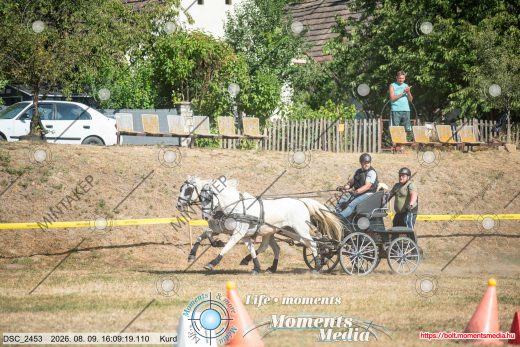 Mintakép 20260809-1488