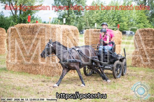 Mintakép 20260613-1649