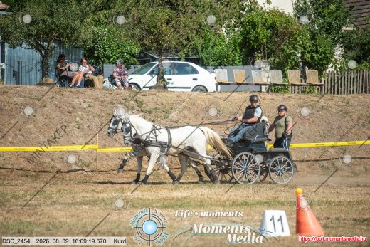 Mintakép 20260809-1489