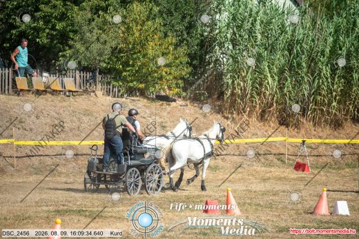 Mintakép 20260809-1491