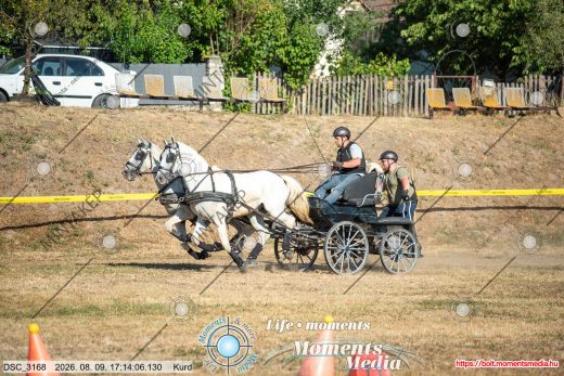 Mintakép 20260809-1495