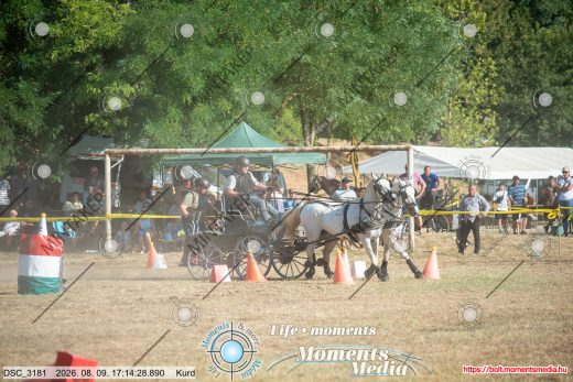 Mintakép 20260809-1503
