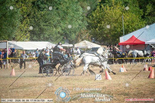 Mintakép 20260809-1504
