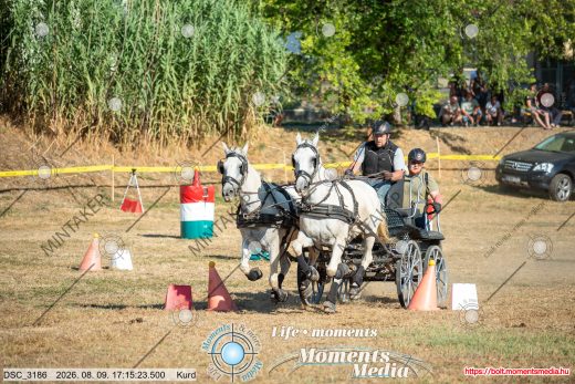 Mintakép 20260809-1508