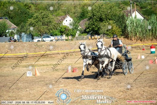 Mintakép 20260809-1509